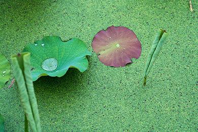 《守望先锋》世界杯决赛正式结束：中国队2-3获亚军